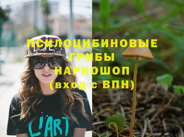 2c-b Алексеевка