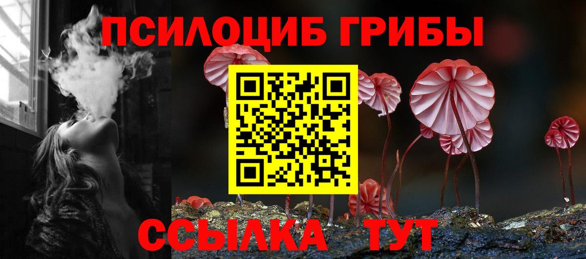 Псилоцибиновые грибы GOLDEN TEACHER  Вход с VPN  Асино  Псилоцибиновые грибы прущие грибы 
